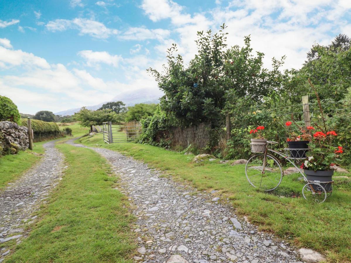 Cwm Caeth Cottage カーナーヴォン エクステリア 写真